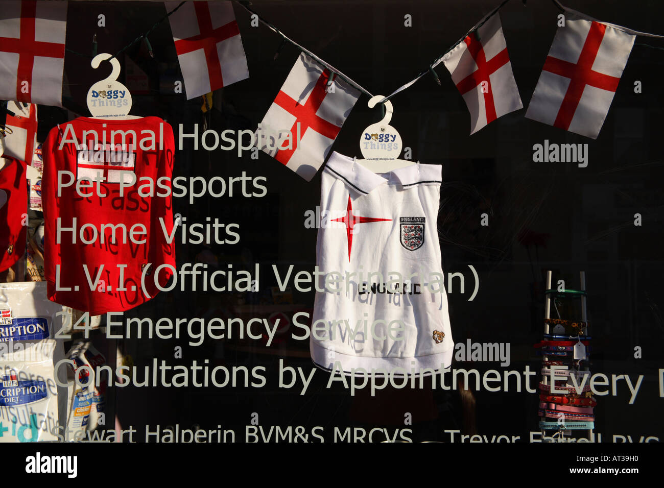 Clothing for dogs in shop window, Chiswick High Road, 2006 World Cup, London Stock Photo
