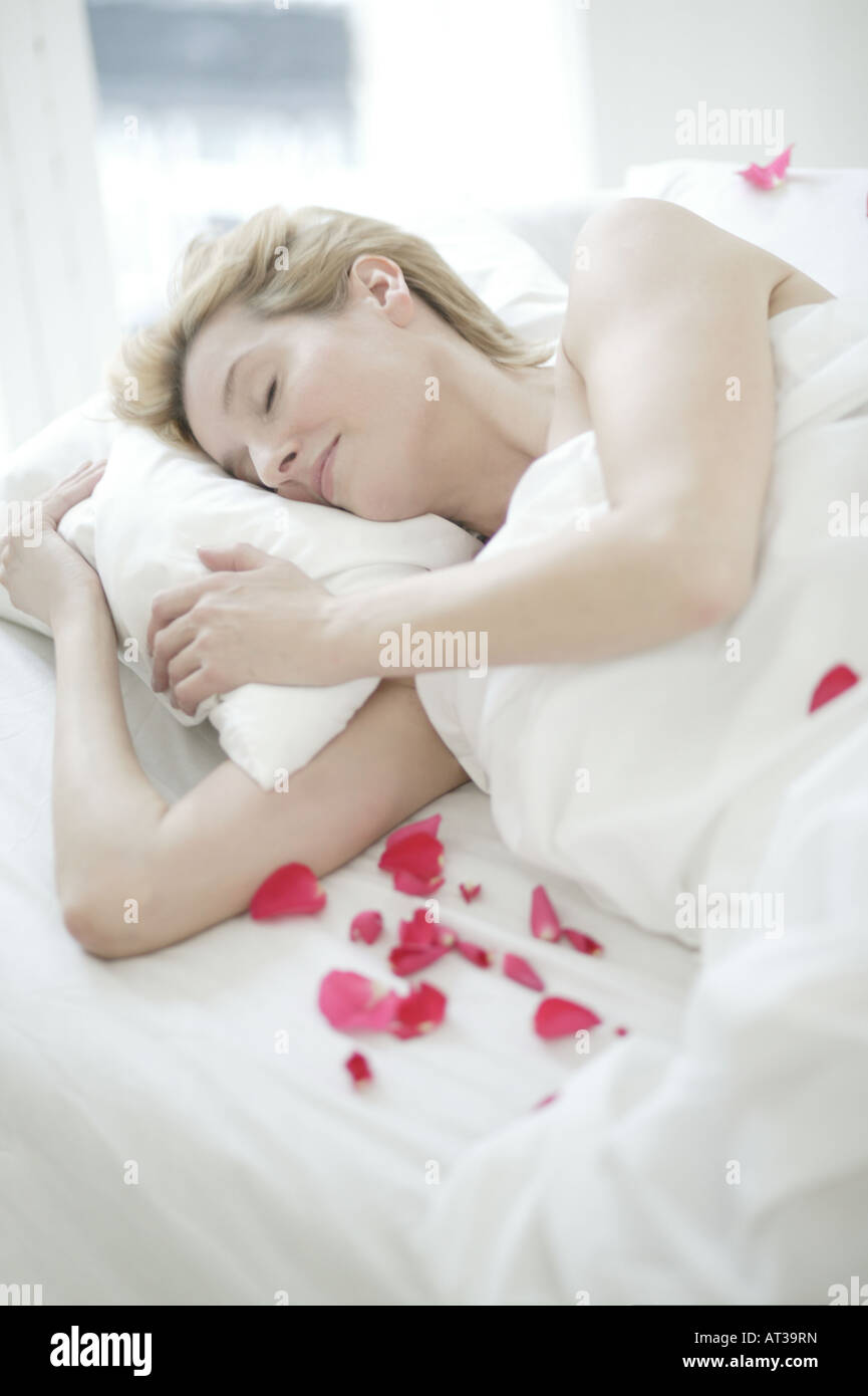Single Red Rose Lying Down High Resolution Stock Photography and Images ...