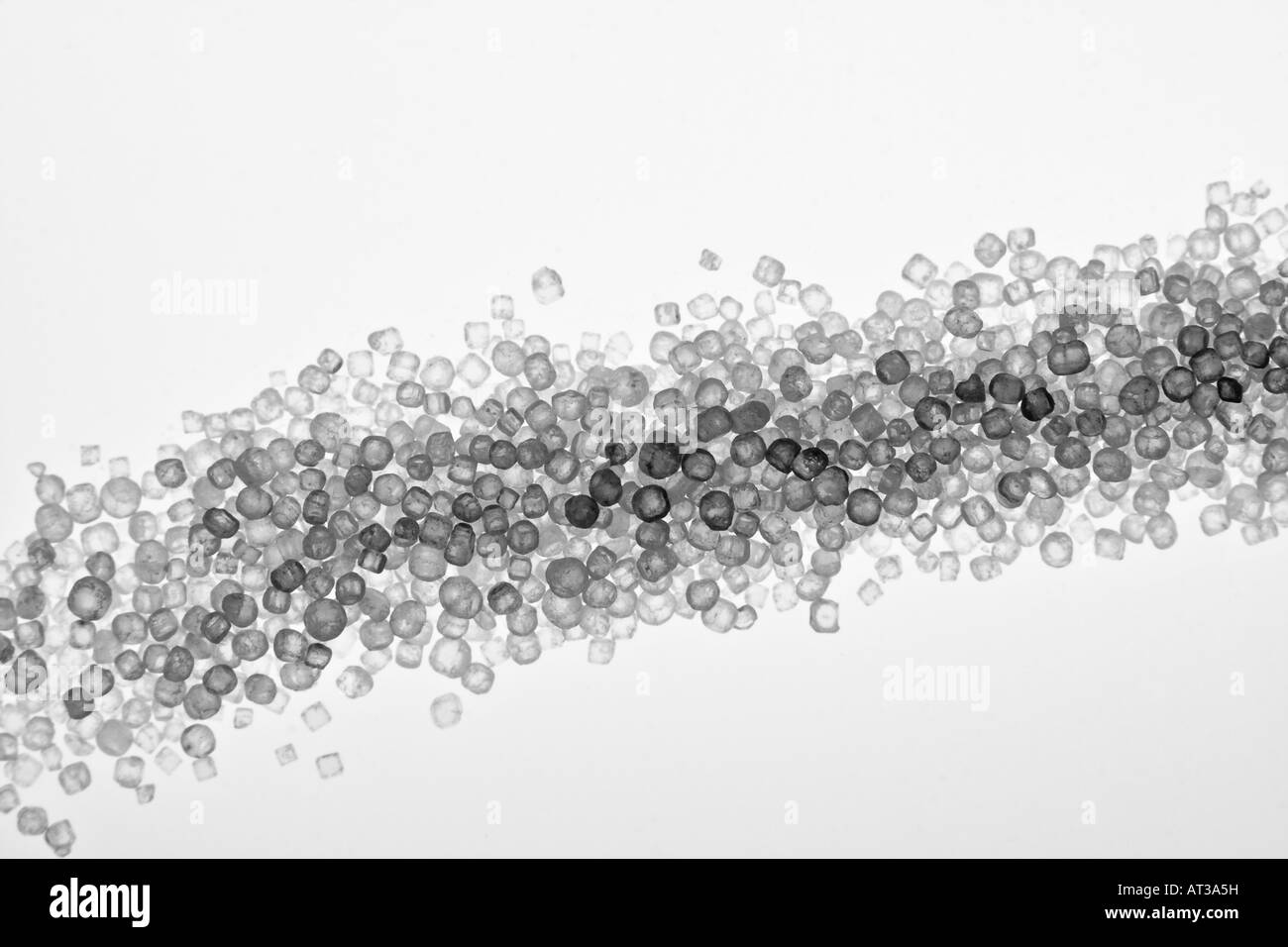 Sodium chloride NaCl crystals backlit by a lightbox. Magnification is approx 2 1. Stock Photo