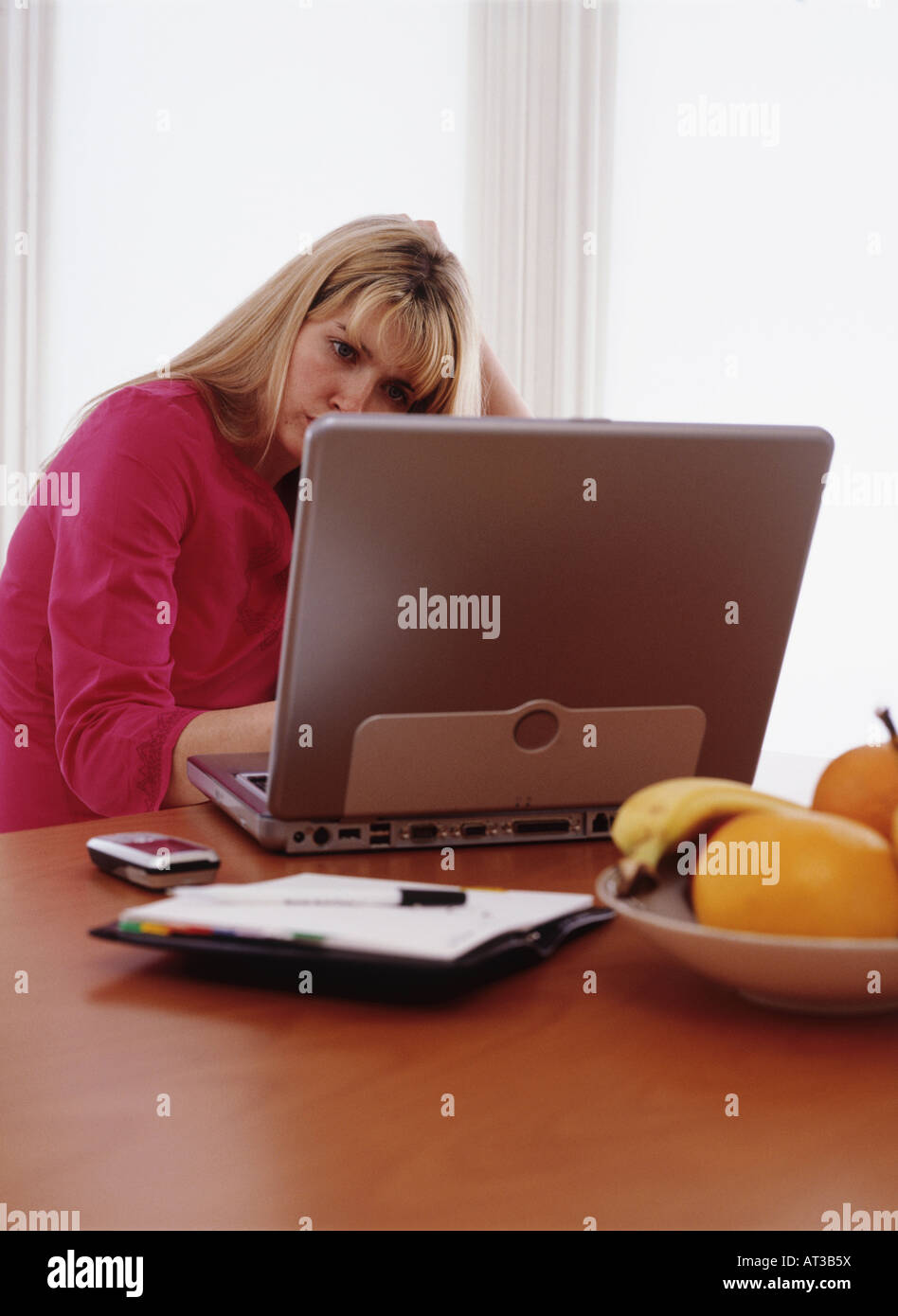 A woman working at home on a laptop Stock Photo