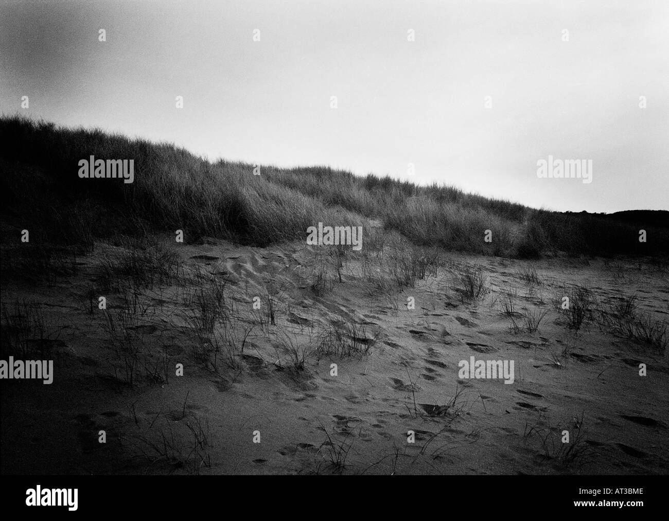Grass on dunes Black and White Stock Photos & Images - Alamy