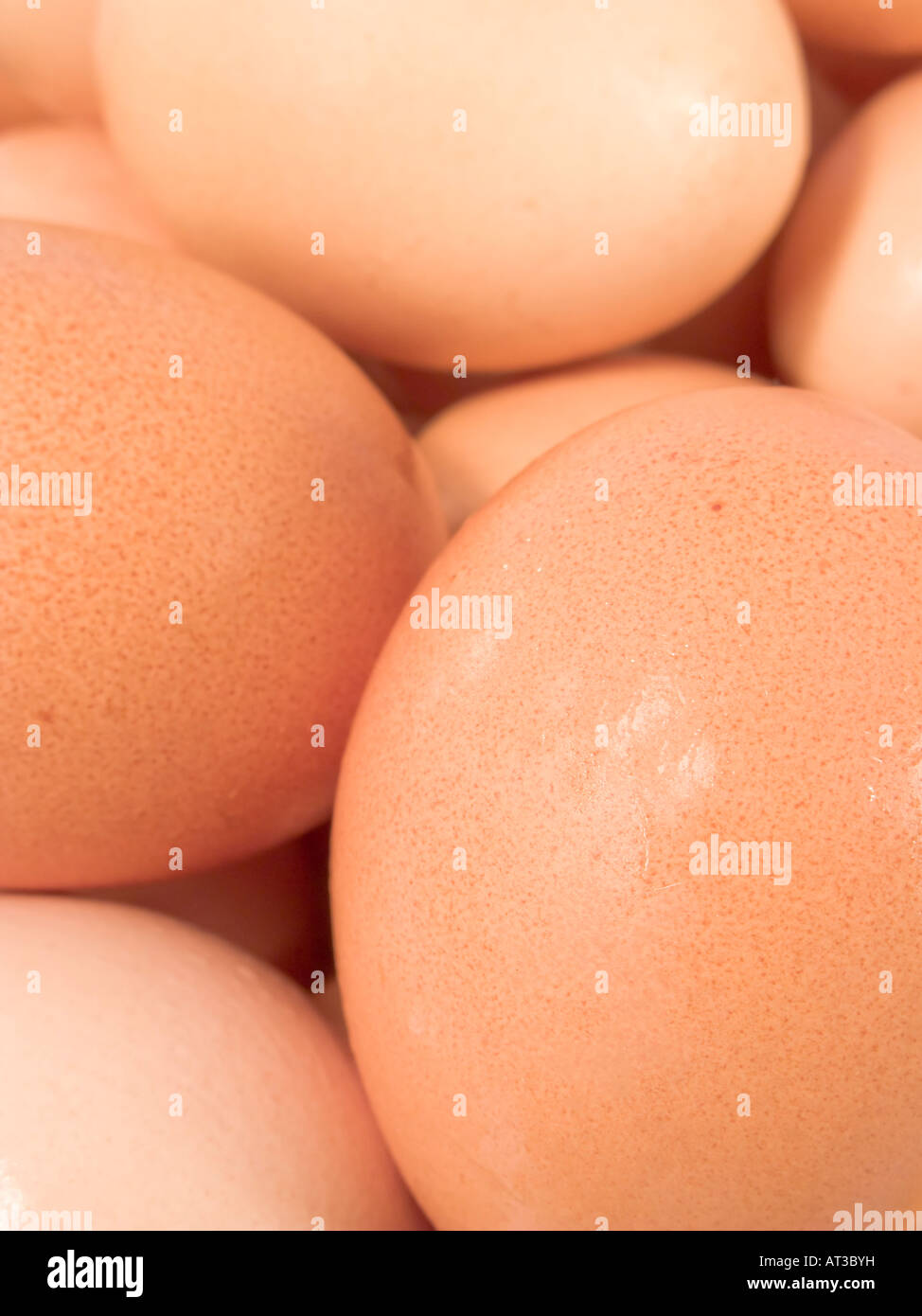 Close-up of a pile of fresh chicken eggs Stock Photo
