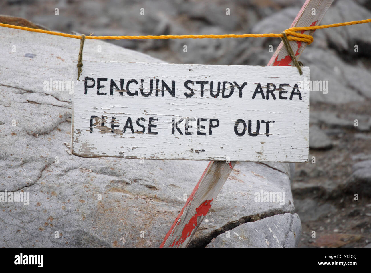 Penguin sign Stock Photo