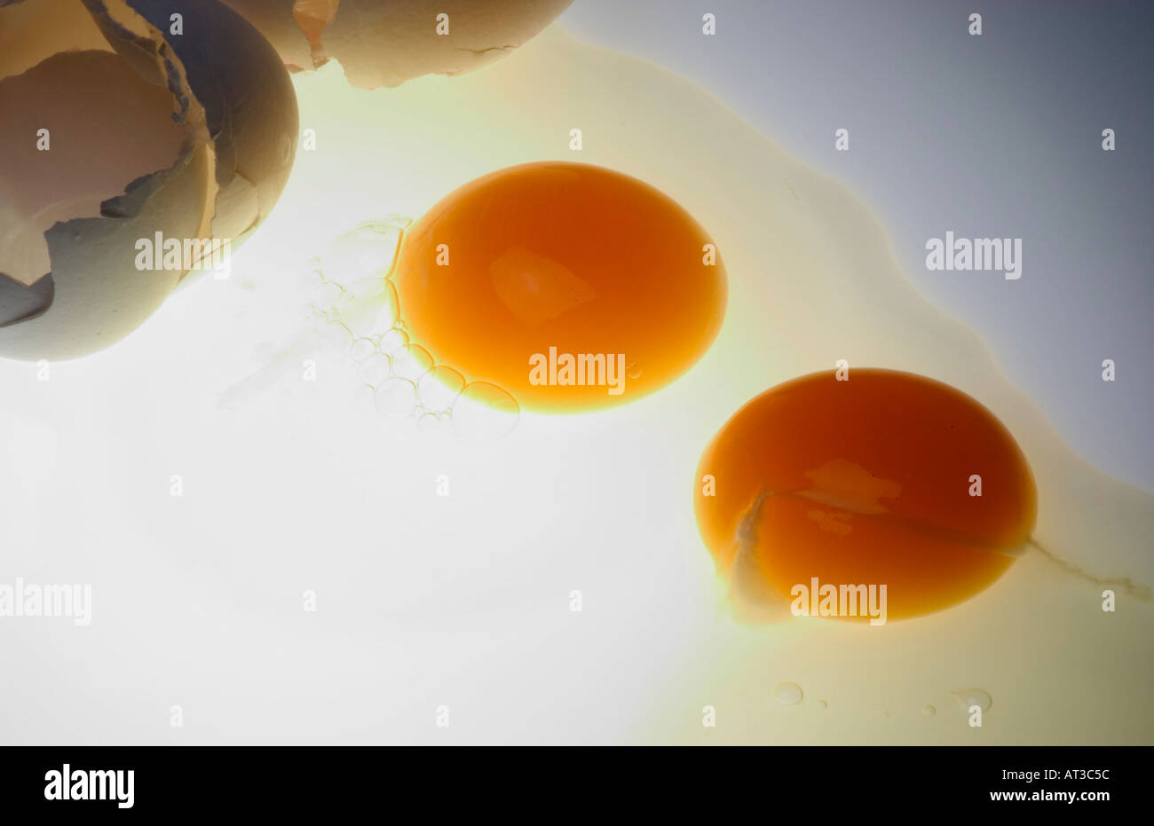 Two broken eggs on bottom lit white surface Stock Photo