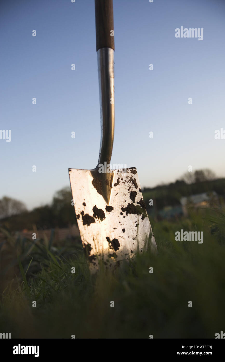 A gardening spade in the ground Stock Photo Alamy