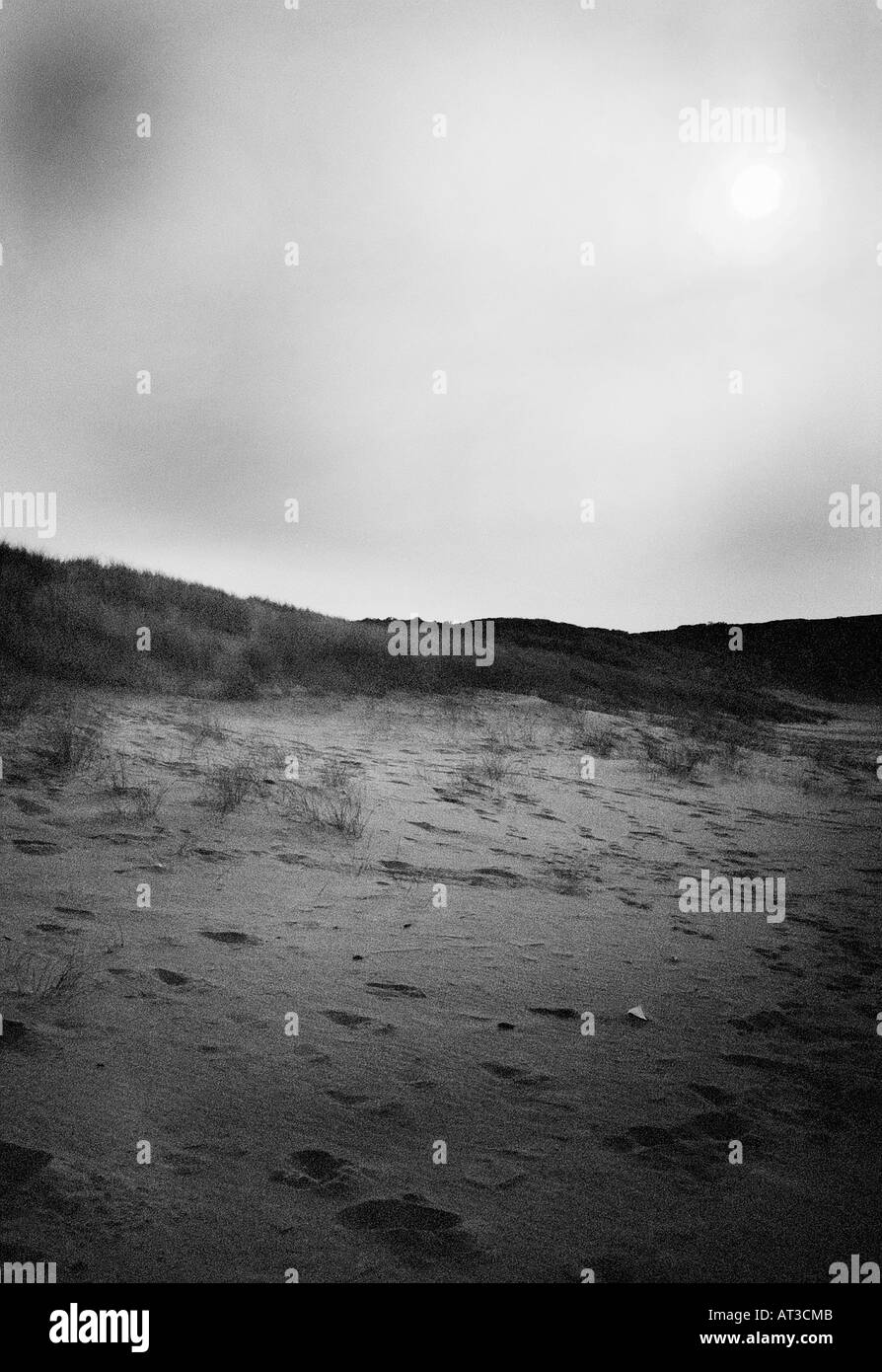 Sandy beach beach with dune grass Black and White Stock Photos & Images ...