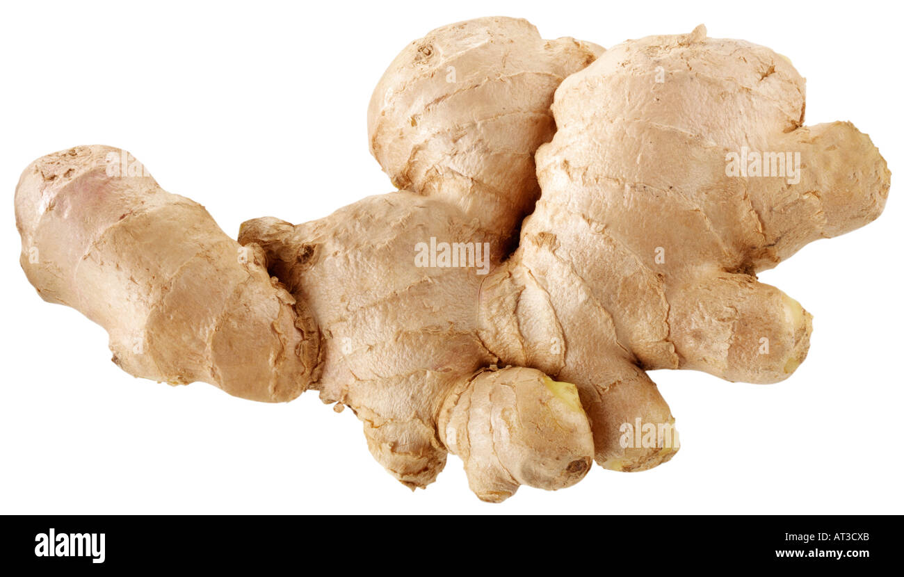 WHOLE GINGER ROOT CUT OUT Stock Photo