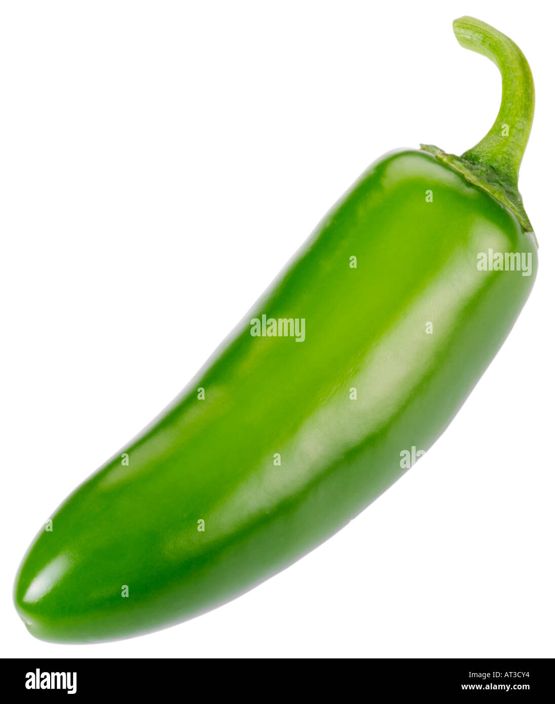 ONE GREEN CHILLI CUT OUT Stock Photo - Alamy