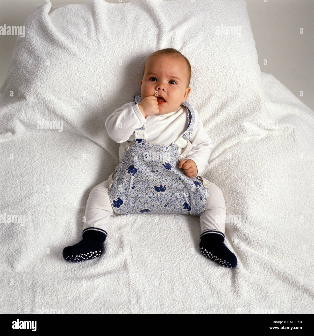 Hip dysplasia hi-res stock photography and images - Alamy