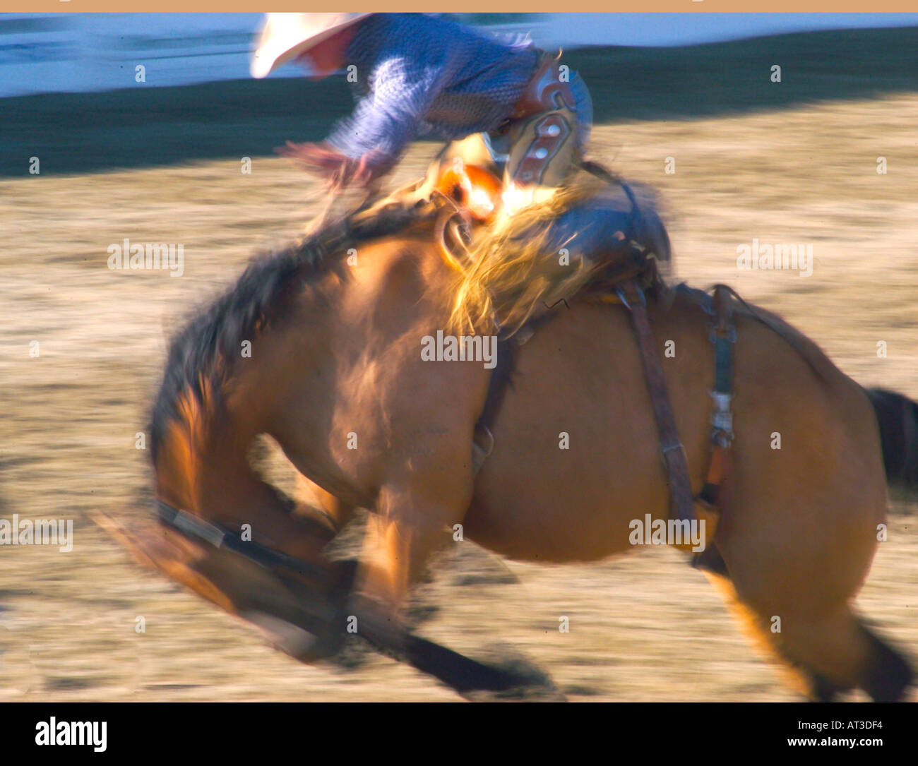 rodeo cowboy riding a horse Stock Photo
