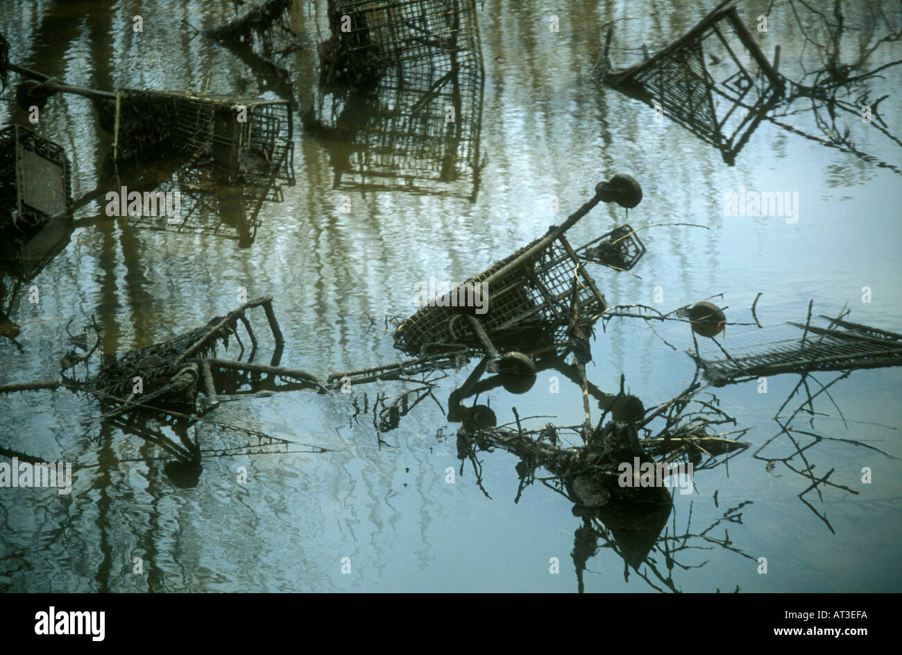 Shopping trollies and other debris in River Frome, Somerset, England Stock Photo