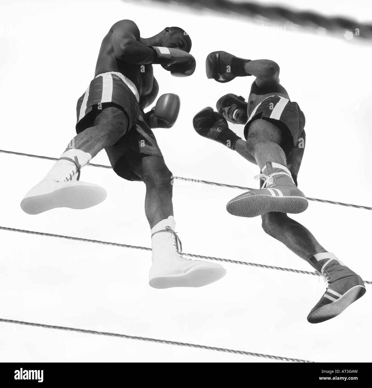 Two boxers fighting in a ring Stock Photo Alamy