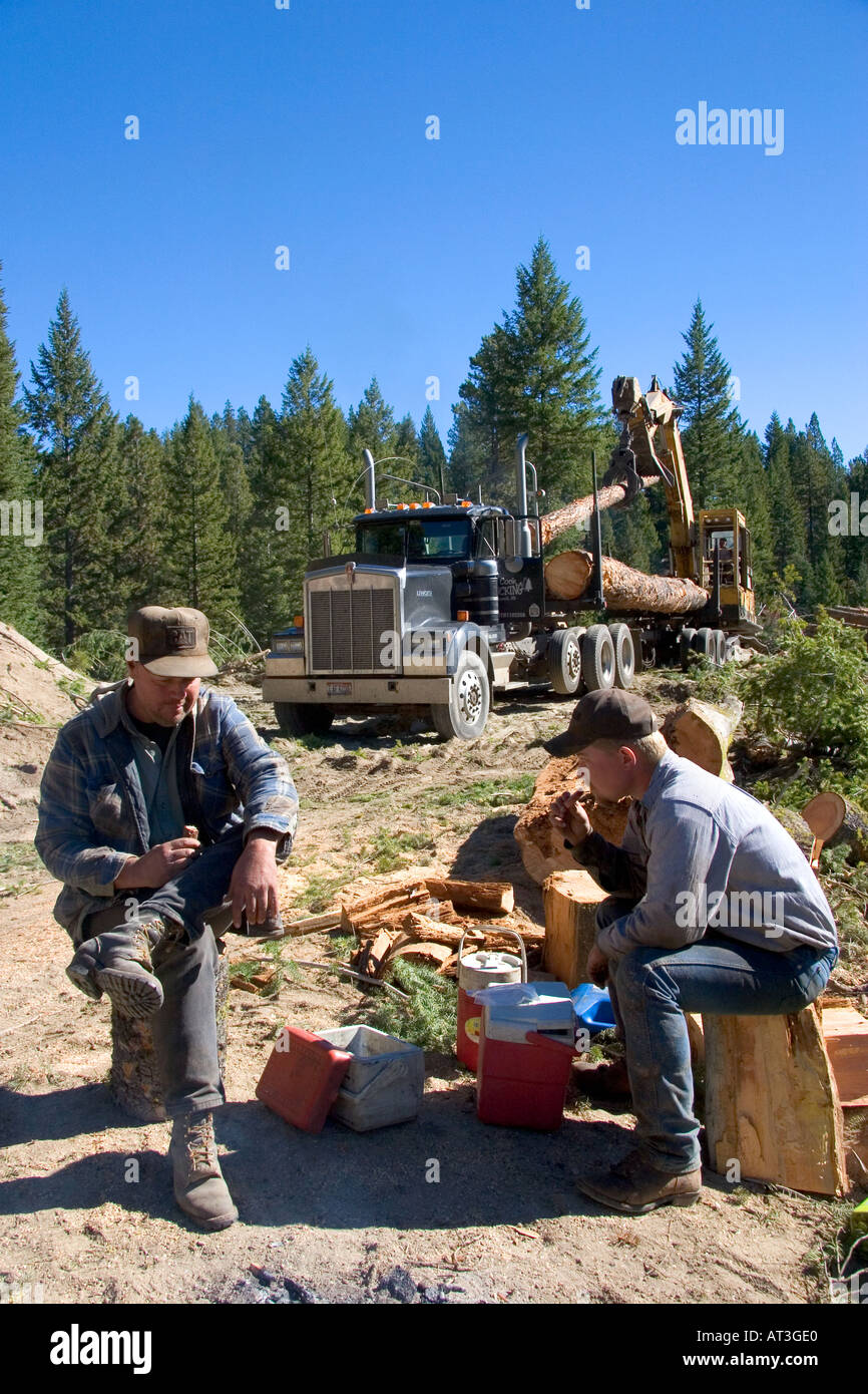 Loggers having a lunch break on the job of a logging operation in the