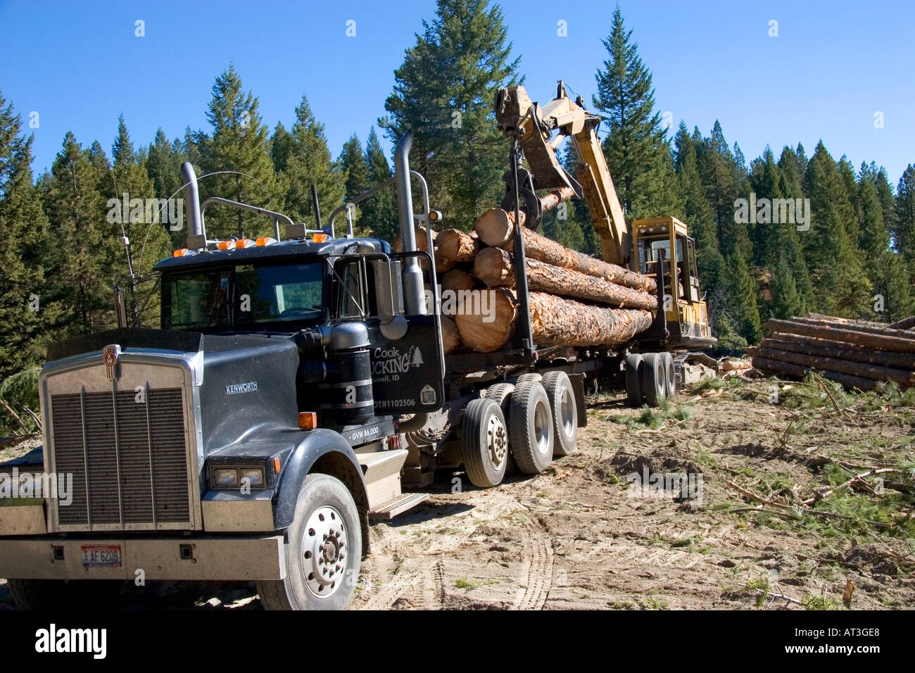 Logging truck and national forest hires stock photography and images