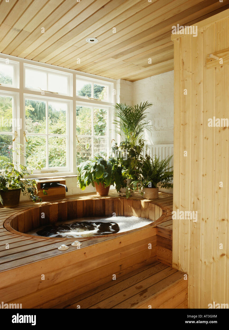 Wooden steps up to hot tub in bathroom with pine panelled ceiling and group of houseplants Stock Photo