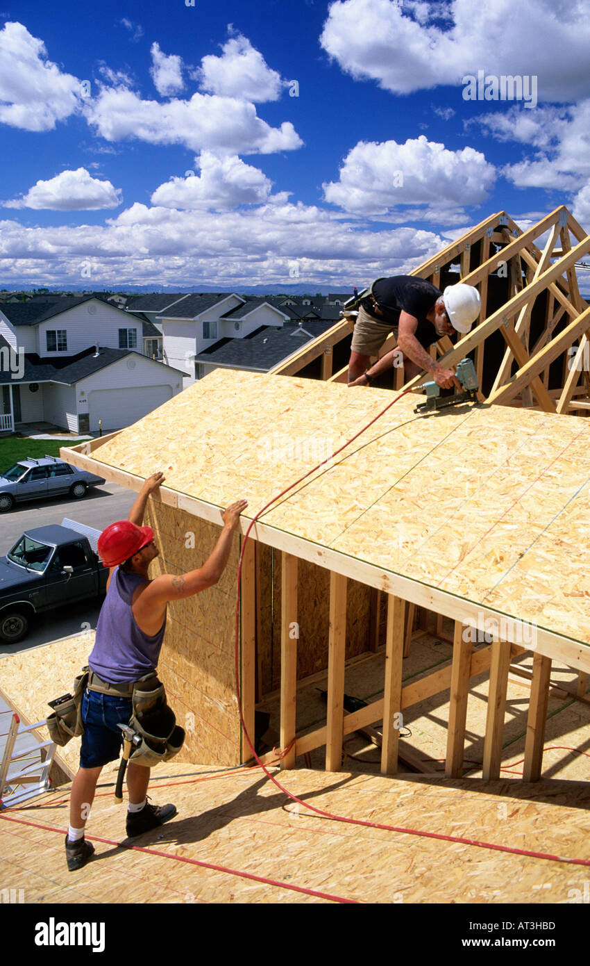 Carpenters install roof sheathing during the construction of a new home. Stock Photo