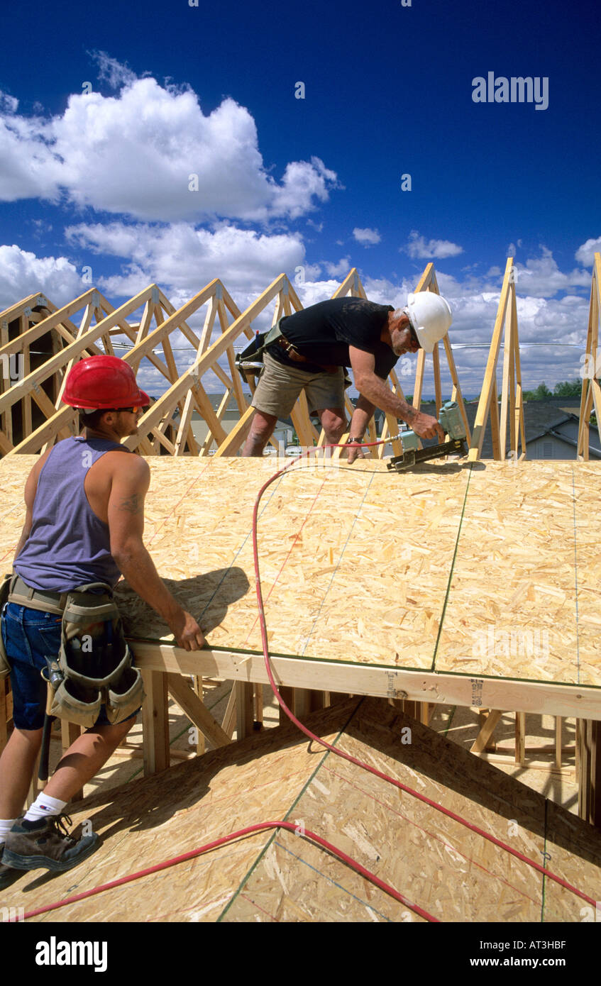 Carpenters install roof sheathing during the construction of a new home. Stock Photo