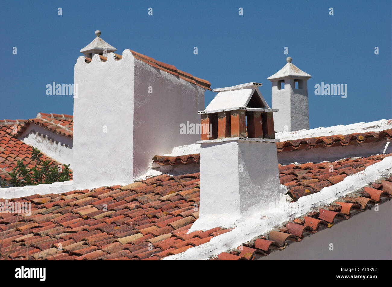 chat terra andalucia