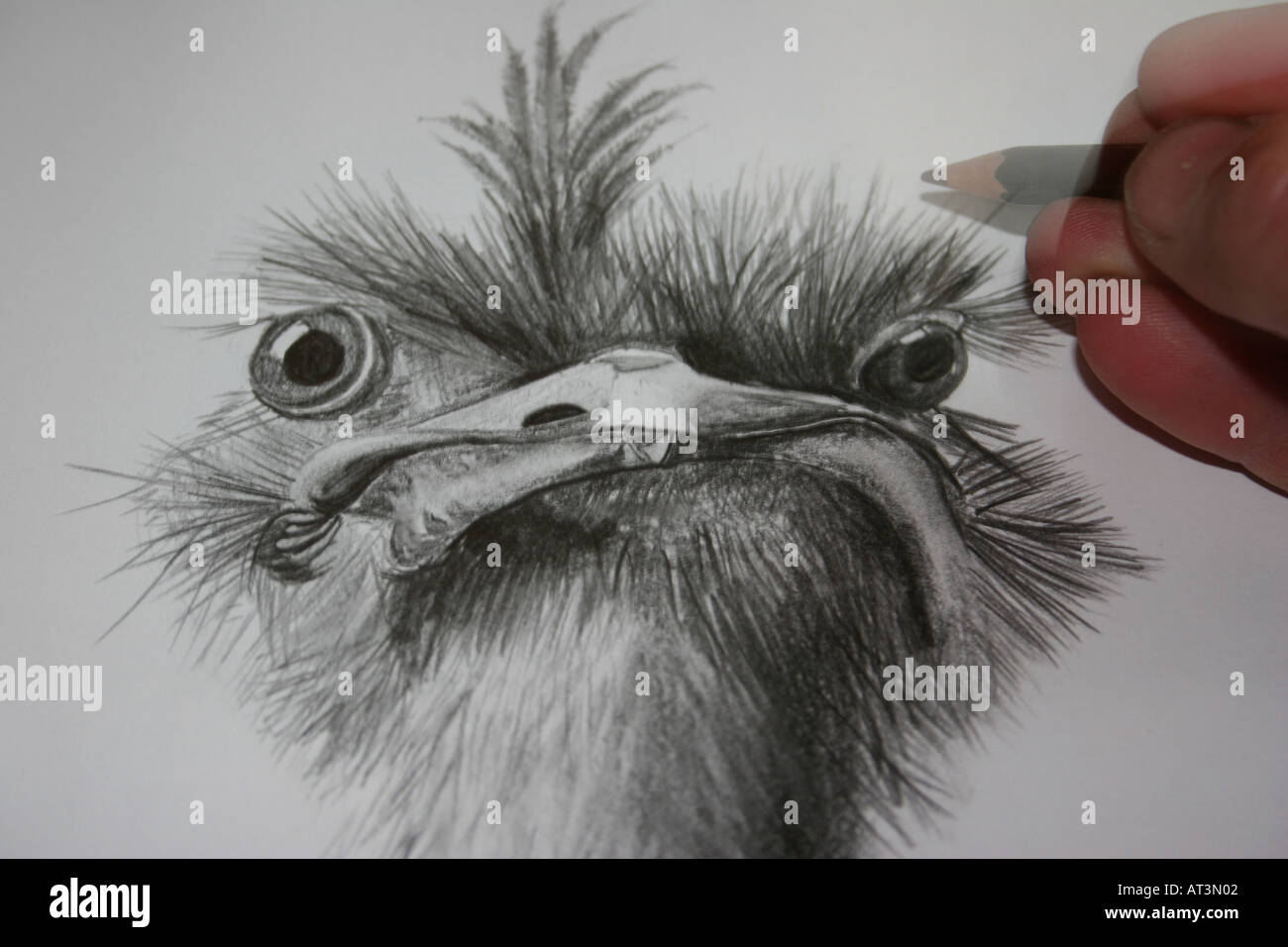 Hand drawn art Stock Photo Alamy