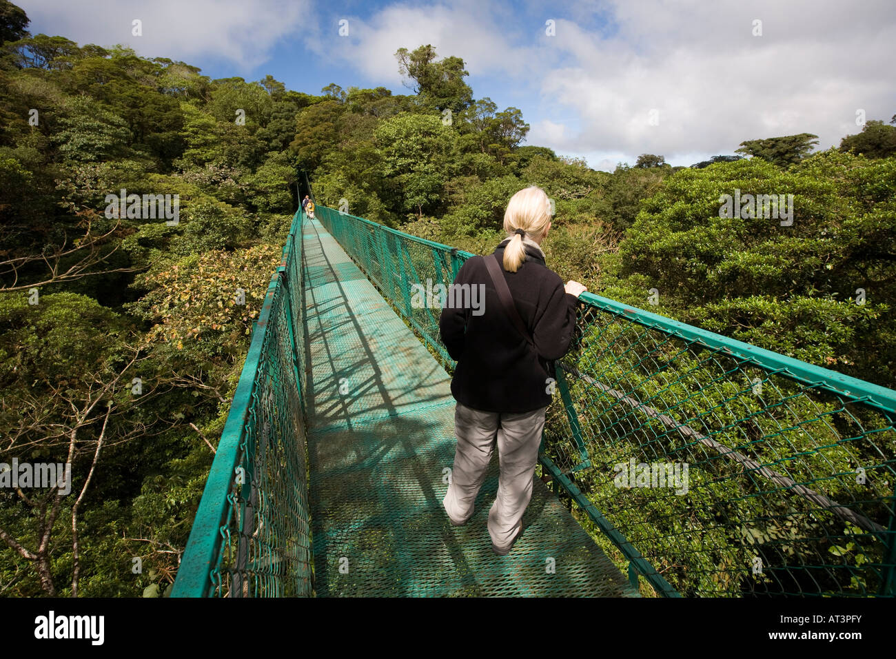 santa elena cloud forest preserve high resolution stock photography and images alamy