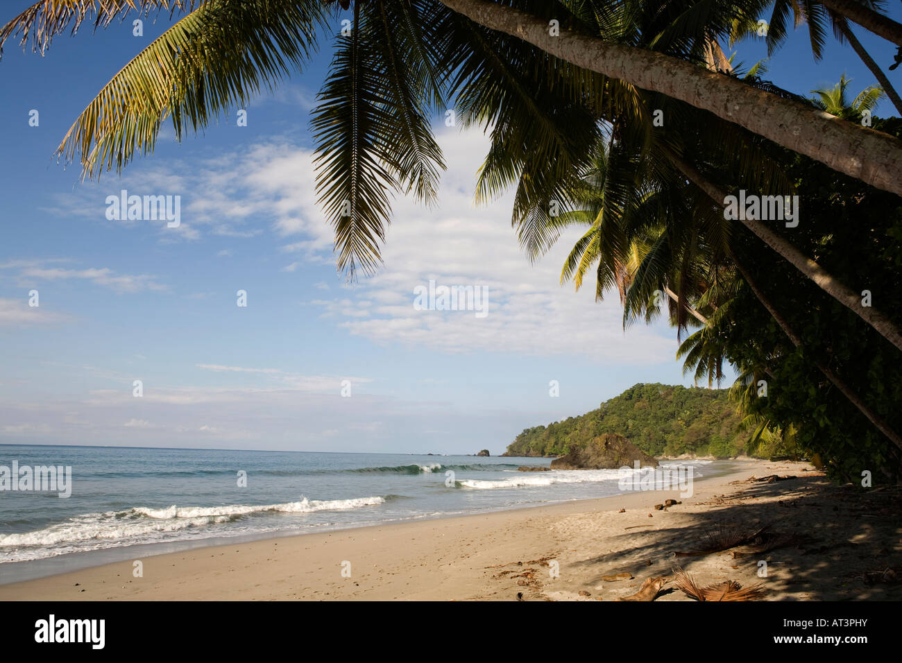 Costa Rica Quepos Playa Espadilla Norte Beach Stock Photo Alamy