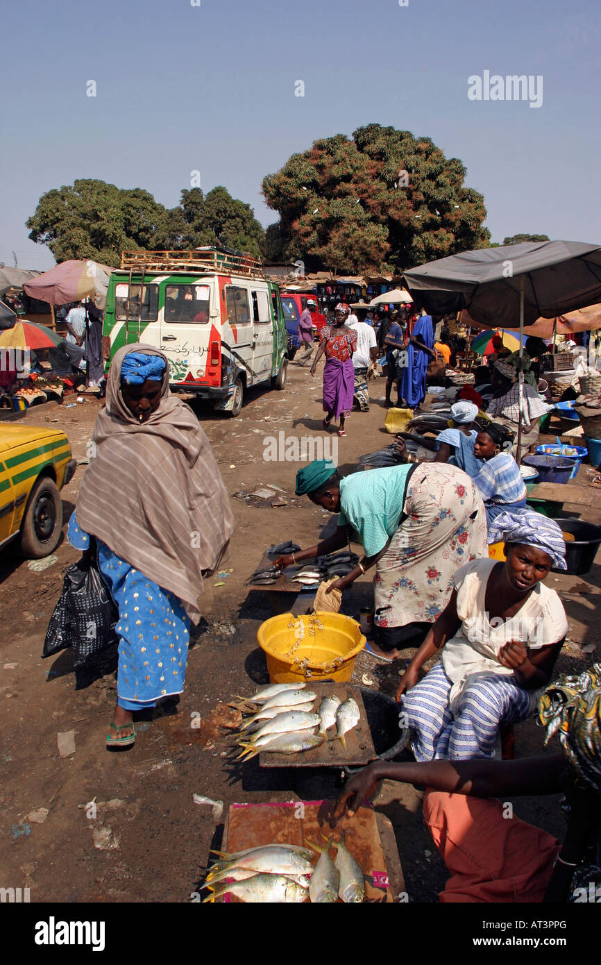 The Gambia Serekunda market women selling fish Stock Photo Alamy