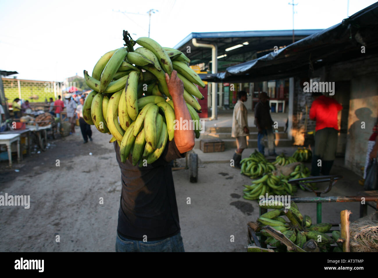 Bananas are wellknown export products of Colombia Stock Photo Alamy