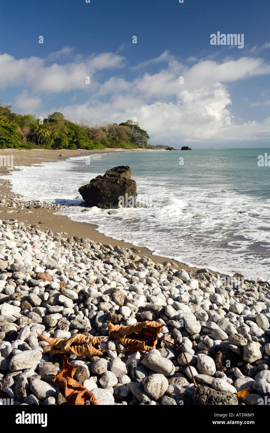 Costa Rica Osa Peninsula Cabo Matapalo Pan Dulce Beach selective focus