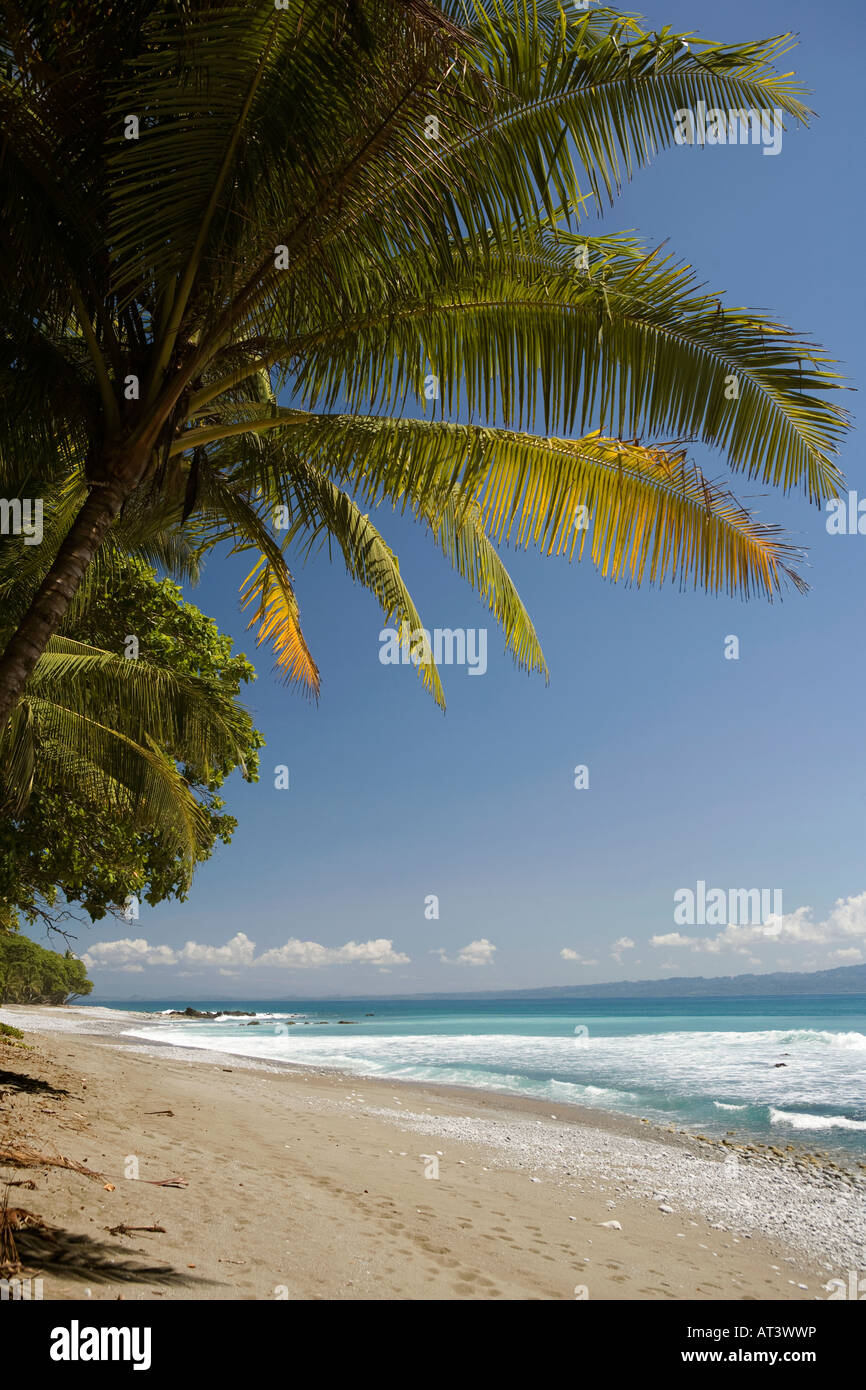 Costa Rica Osa Peninsula Cabo Matapalo popular surfing beach Stock