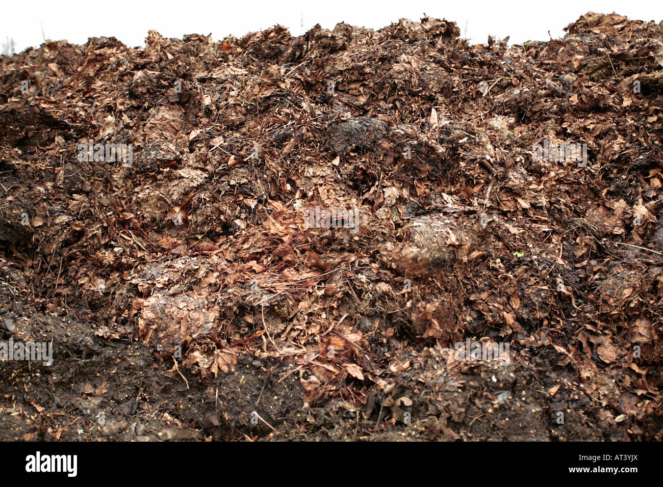 Compost heap comprising manure and leaf matter Stock Photo Alamy