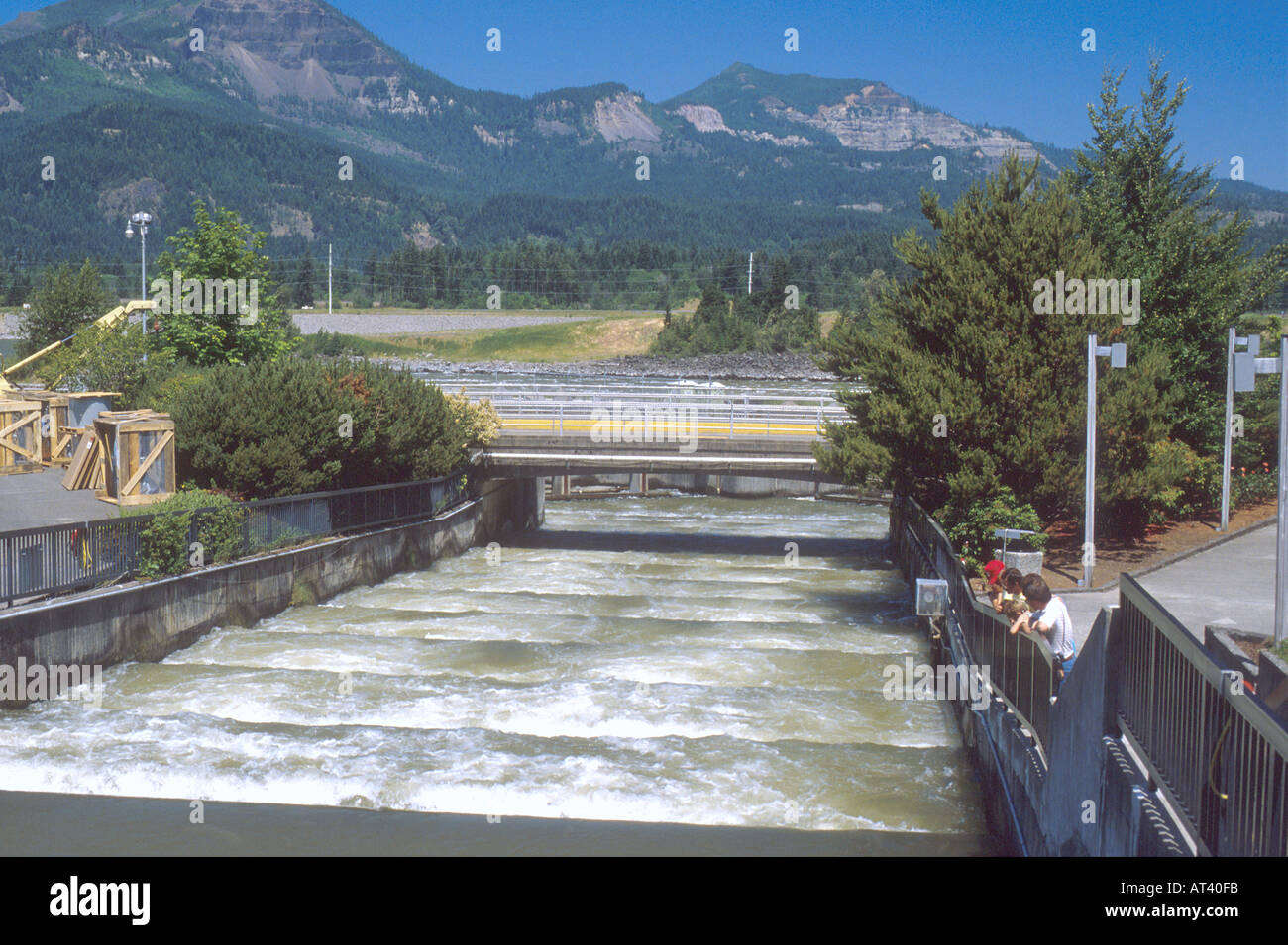 Fish ladder at Bonneville Dam on the Columbia River in Oregon Stock
