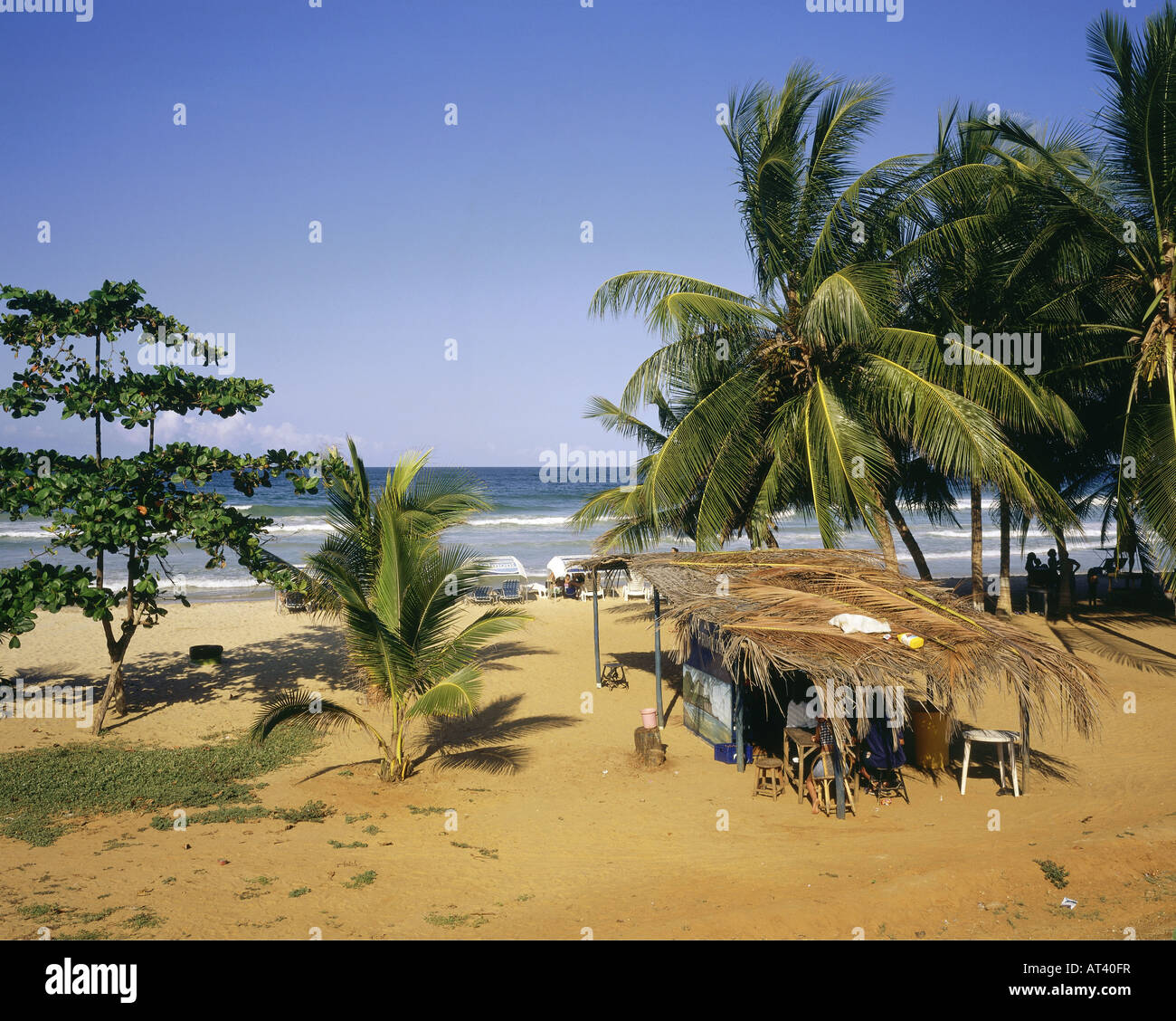 geography / travel, Venezuela, Isla de Margarita, playa Guacuco, palm