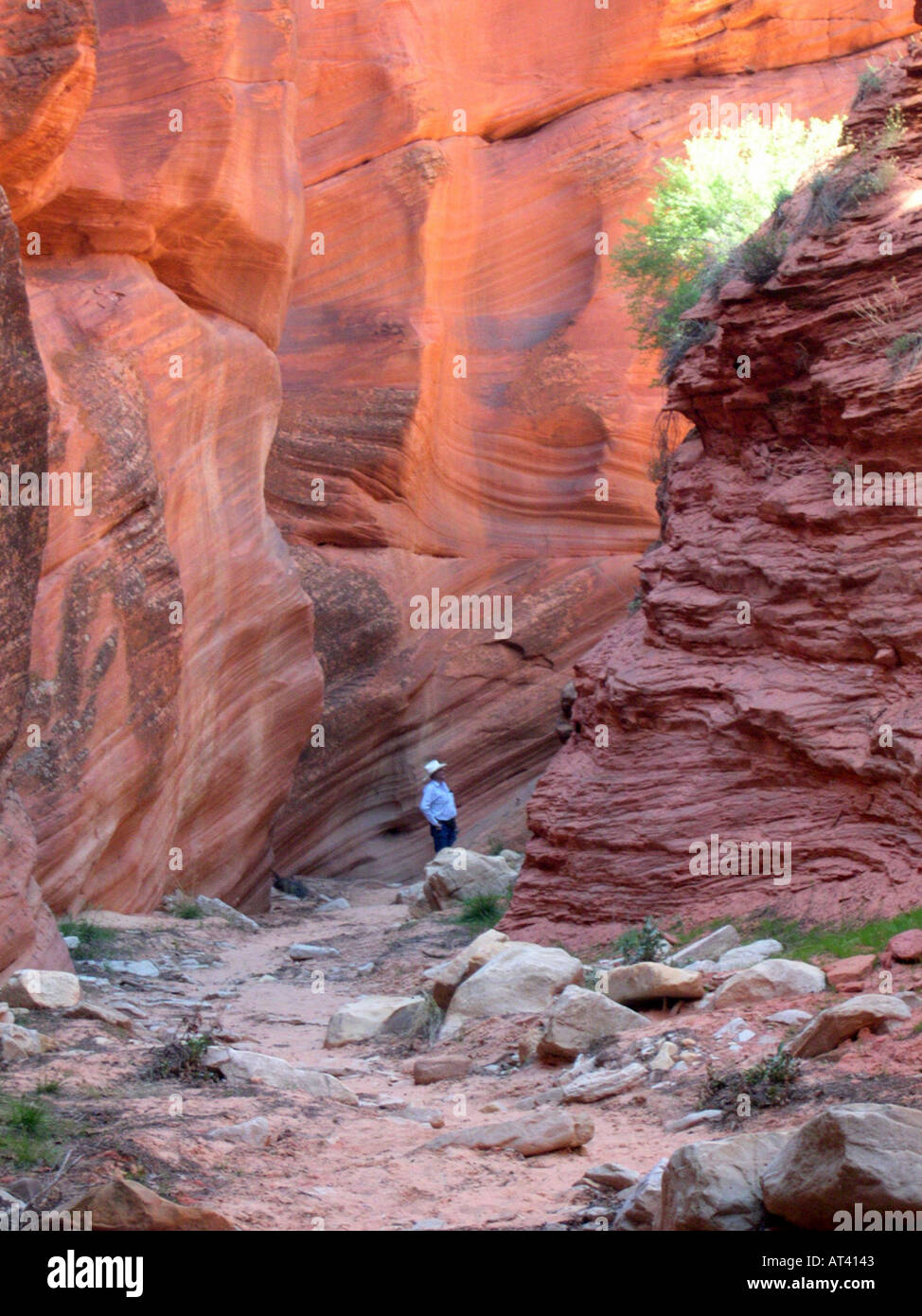 The entrance to a slot canyon near Sedona Arizona Stock Photo Alamy