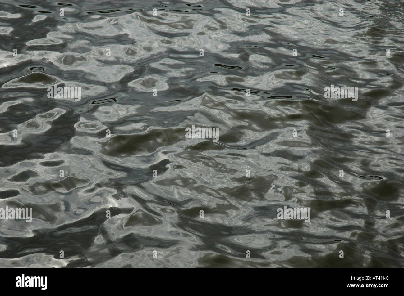 Background image Ripples and reflections on the surface of dark green ...