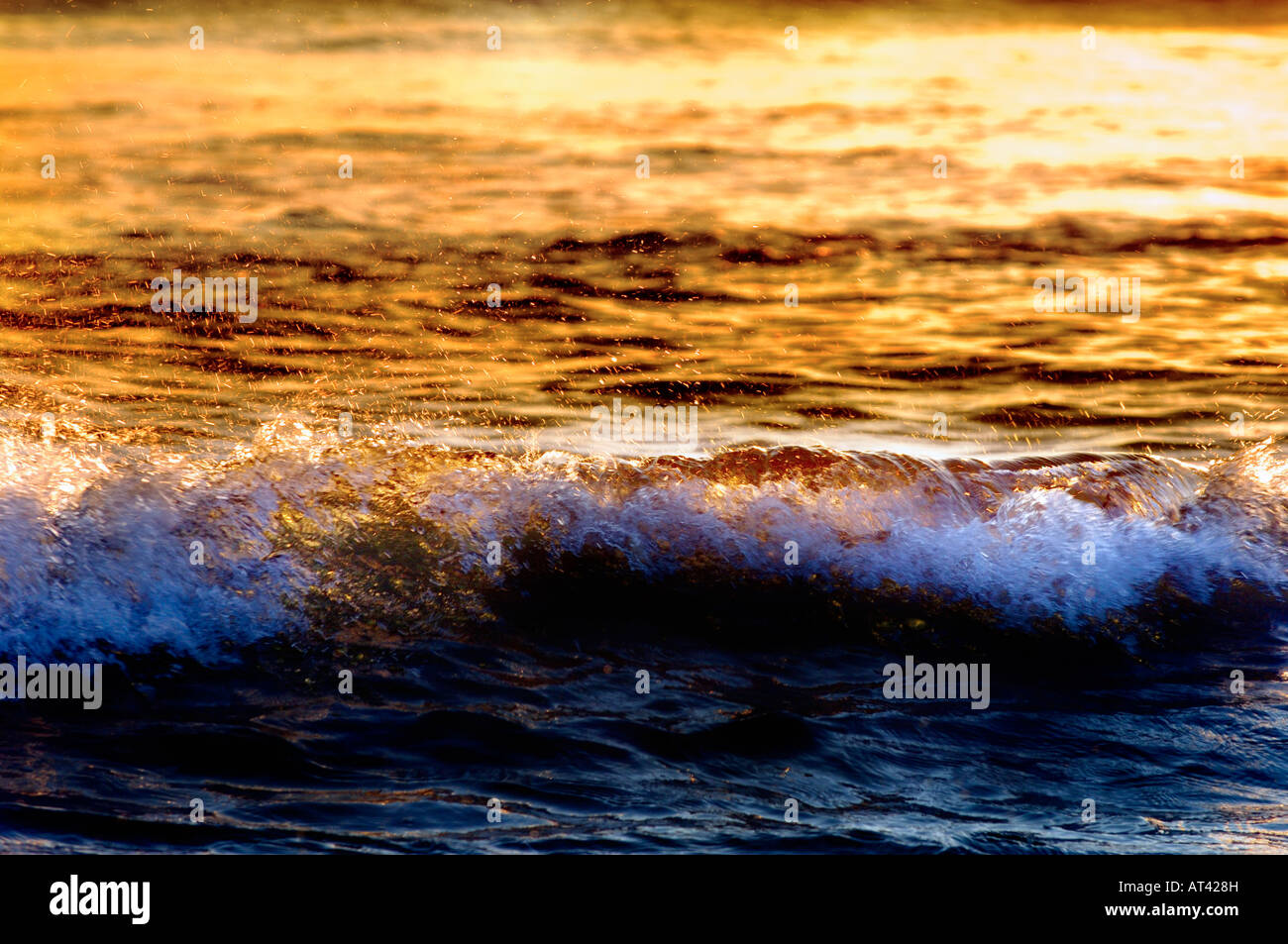 Sunset Evening over Delray Public Beach Florida with a burst of golden sunshine reflecting over ocean waves. Highway A1A N Ocean Blvd. Biodiverse ecological beaches and oceans. Stock Photo