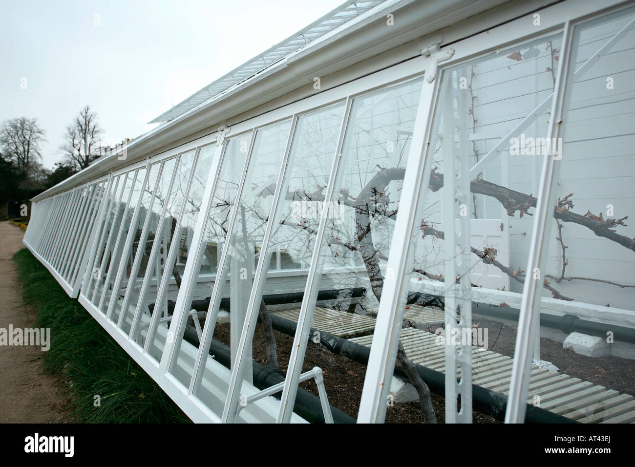 Exterior view of  windows in a Victorian glasshouse Stock Photo