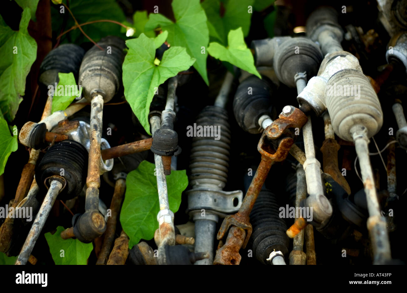 Old car engine parts discarded in a scrapyard with green leaves growing