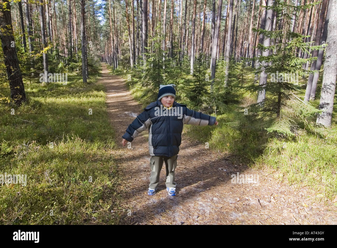 Play in the forest, Young boy walking on nature path Stock Photo