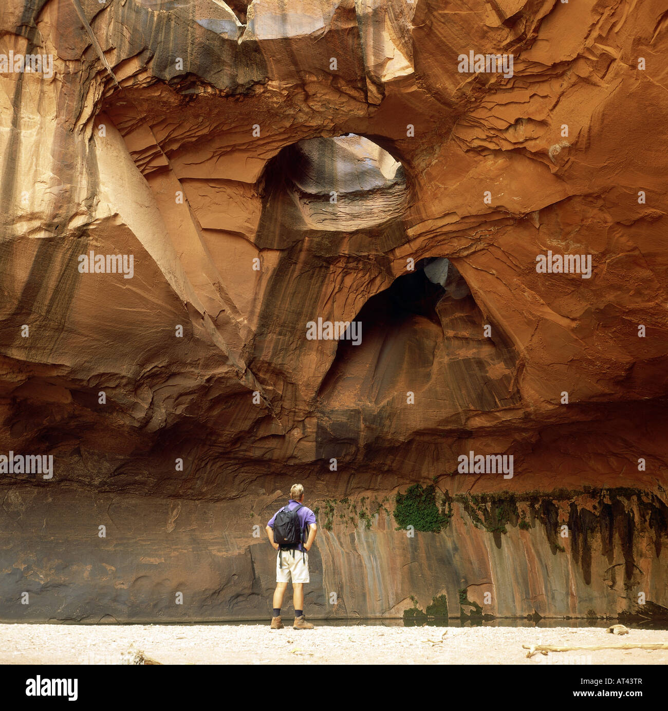 geography / travel, USA, Utah, Grand Staircase Escalante, Hole-in-the-rock Road, Neon Canyon, Golden Cathedral, man viewing land Stock Photo