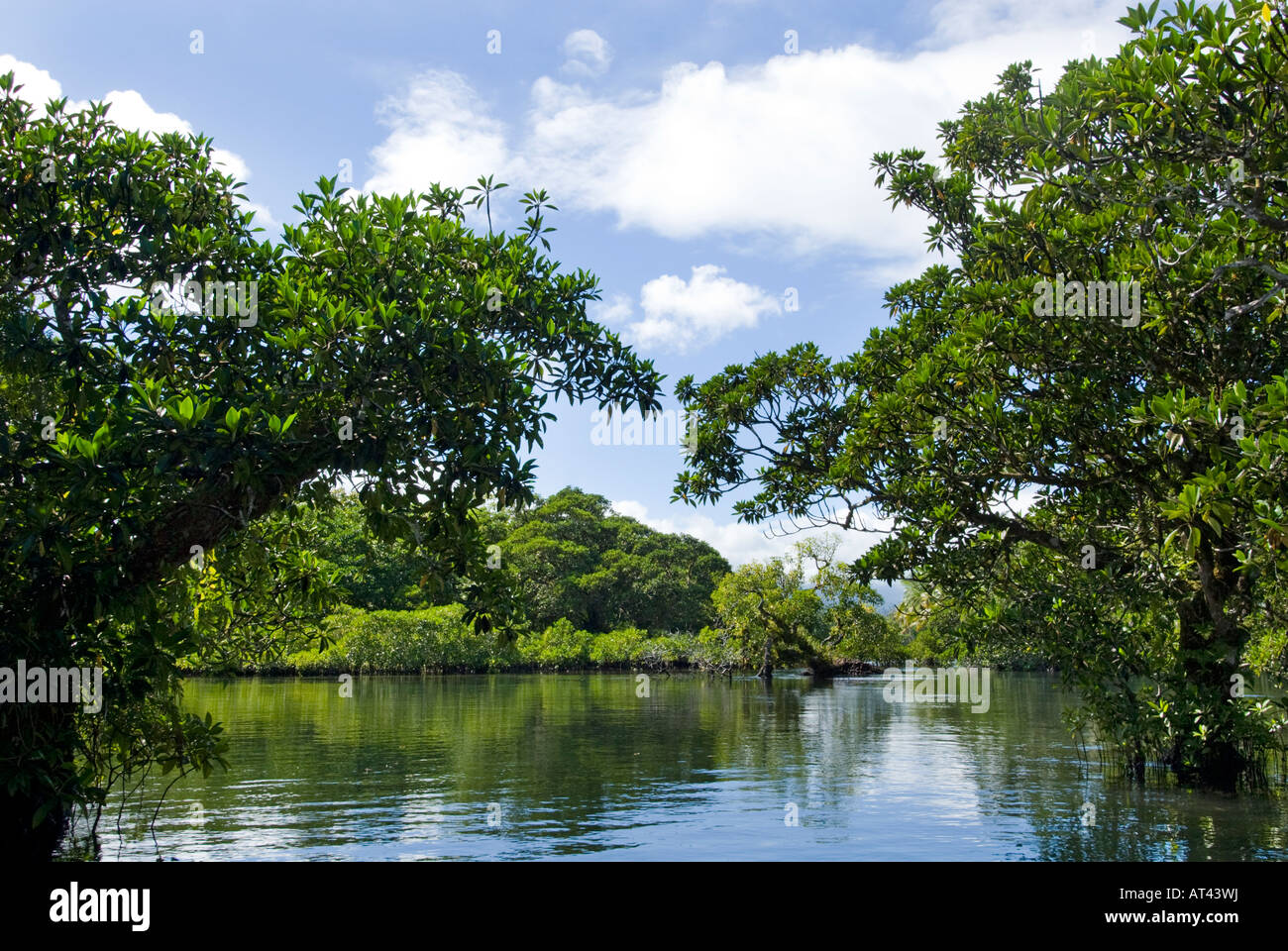 wetlands mangroves trail Samoa Upolu south coast near SAANAPU Saanapu