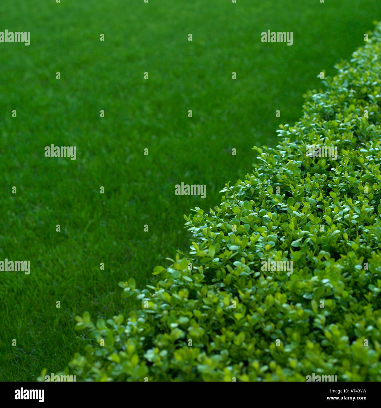 By hedge hires stock photography and images Alamy