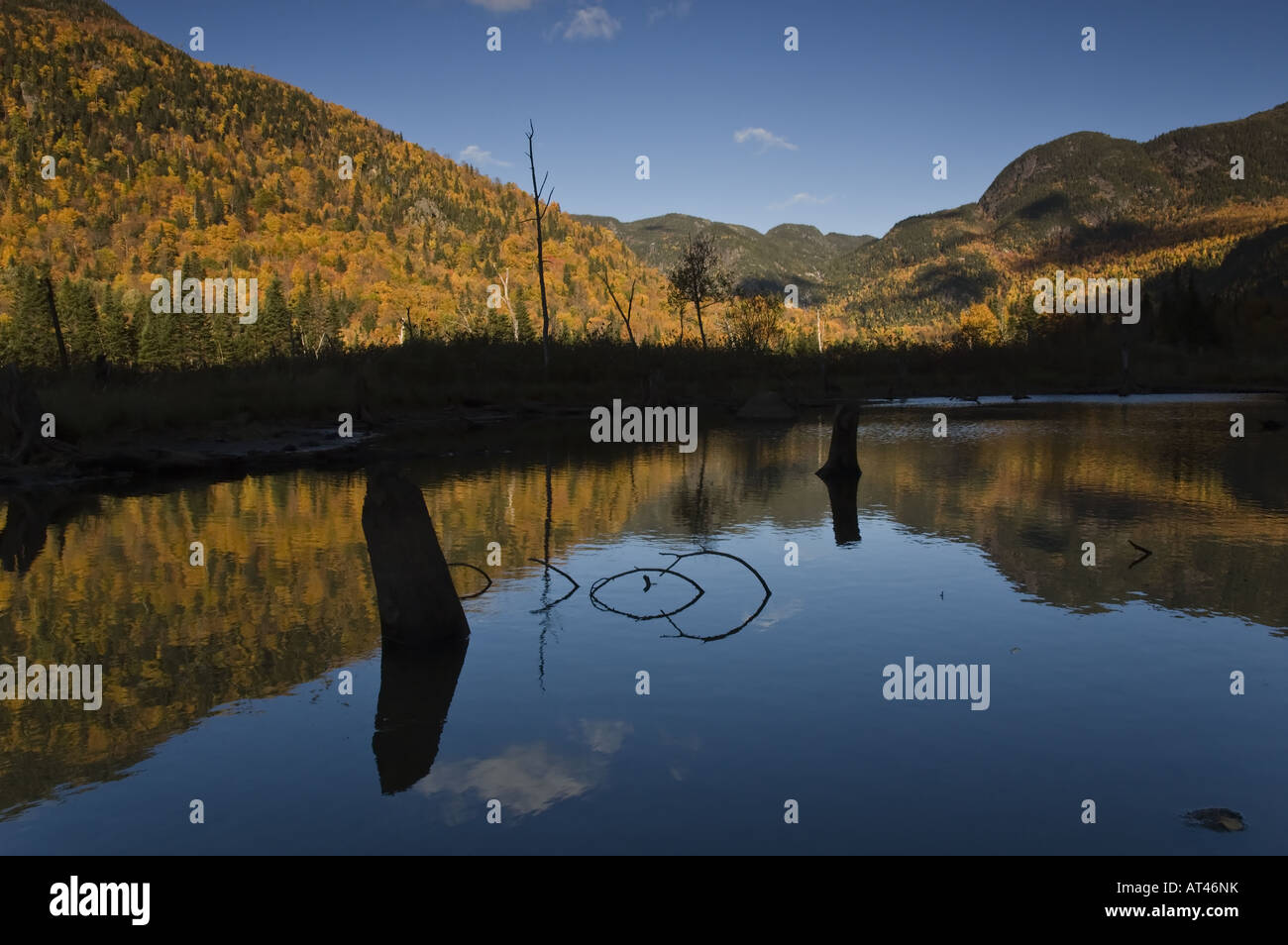 The Malbaie River, Hautes National Park, Charlevoix, Canada Stock Photo Alamy