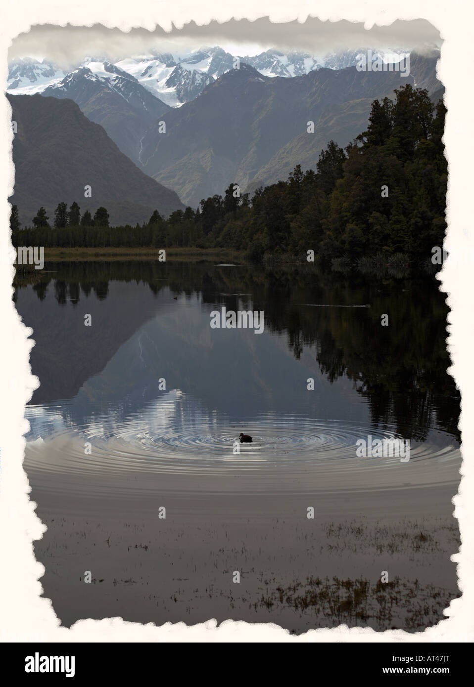Reflections of Aoraki/Mk Cook at Lake Matheson, Fox Glacier, South Island, New Zealand Stock Photo