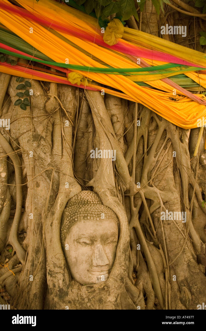 Buddha head grown into a tree Ayutthaya Thailand Stock Photo