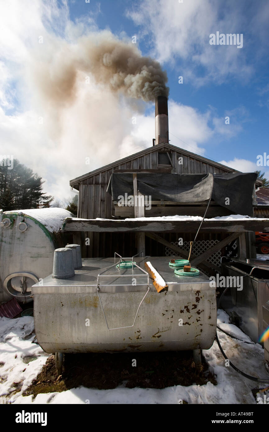 Wood smoke and steam pours our of a sugar house in Barrington, New Hampshire.  The Sugar Shack. Stock Photo
