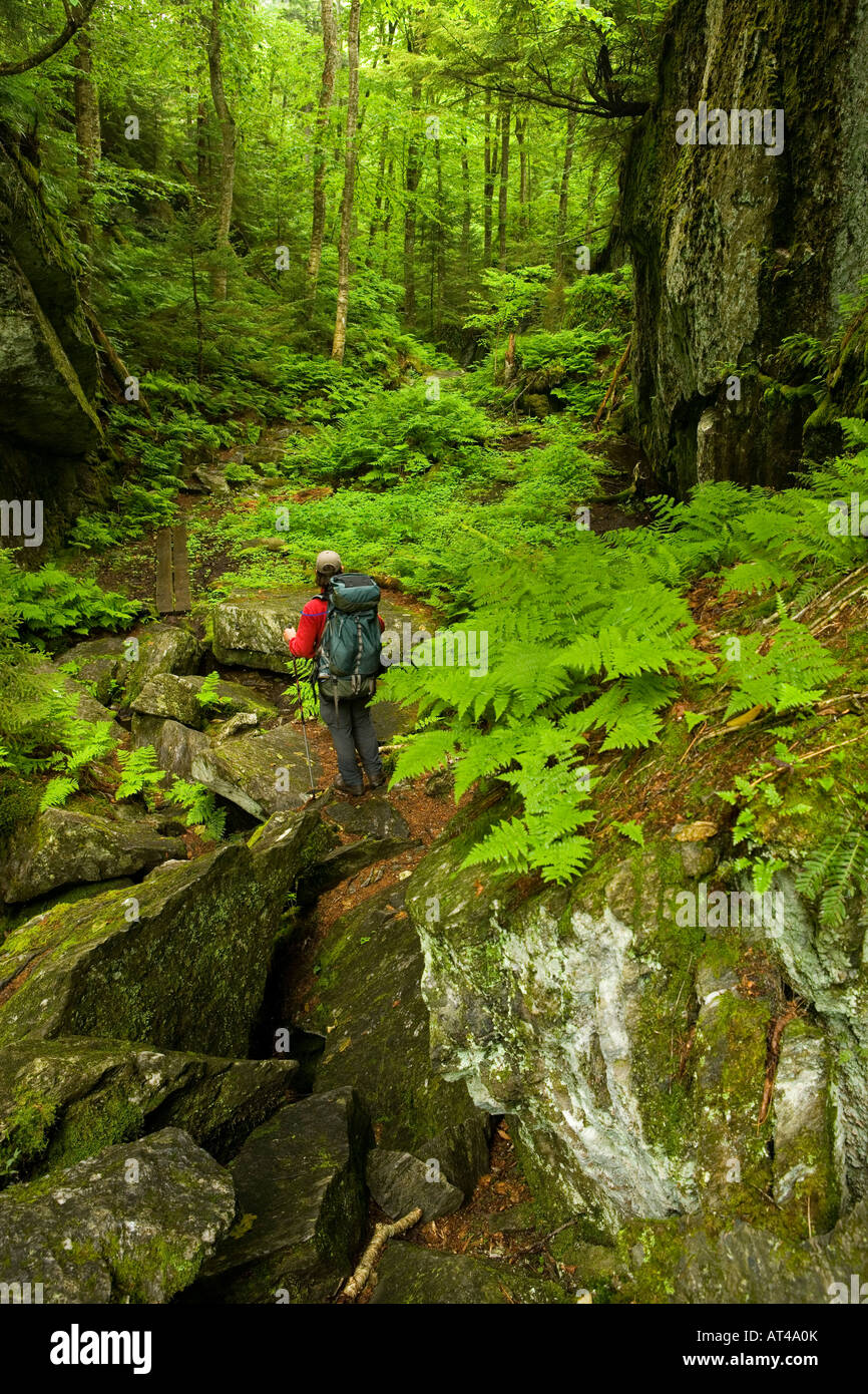 Devils gulch in eden vermont hires stock photography and images Alamy