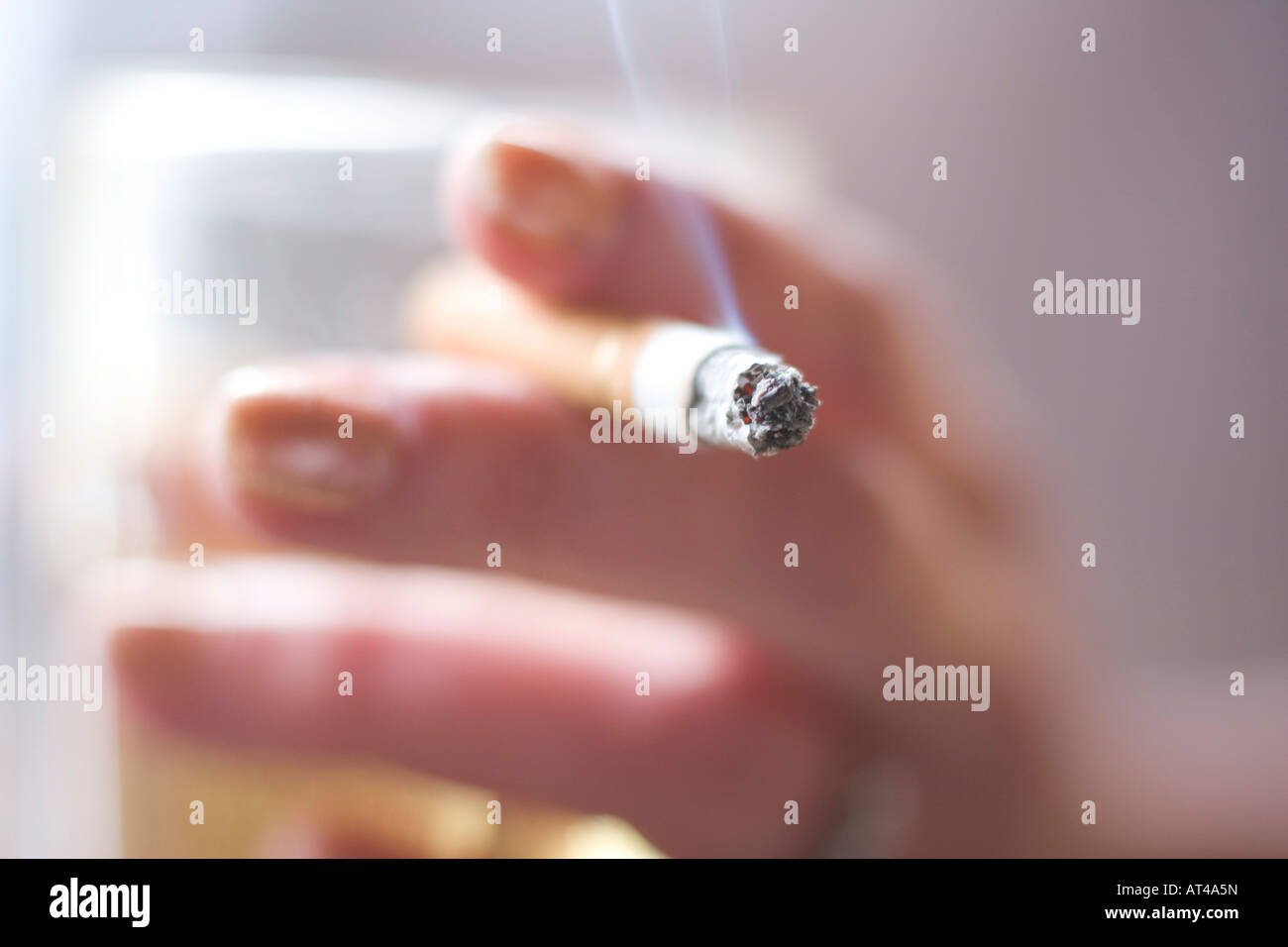 why is a cigarette a fag Smoking cigarette fag hi-res stock photography and images