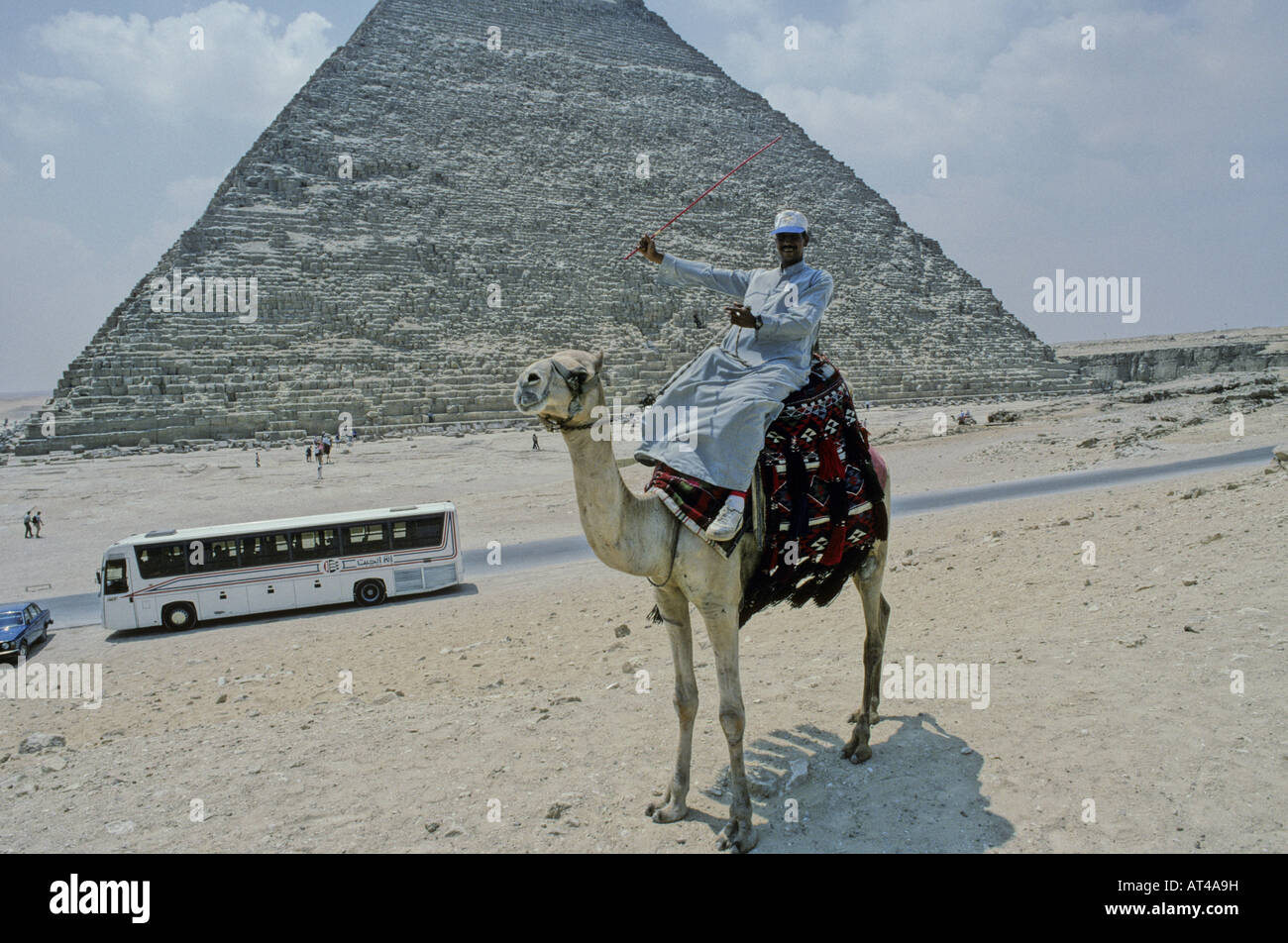 Camel and rider in front of the pyramid of Chephren at Giza near Cairo ...