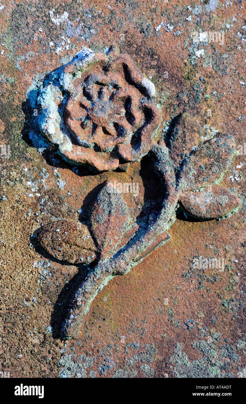 Rose on gravestone hires stock photography and images Alamy