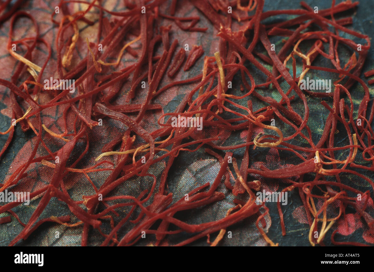 saffron (Crocus sativus), saffron, most expensive spice of the world Stock Photo Alamy